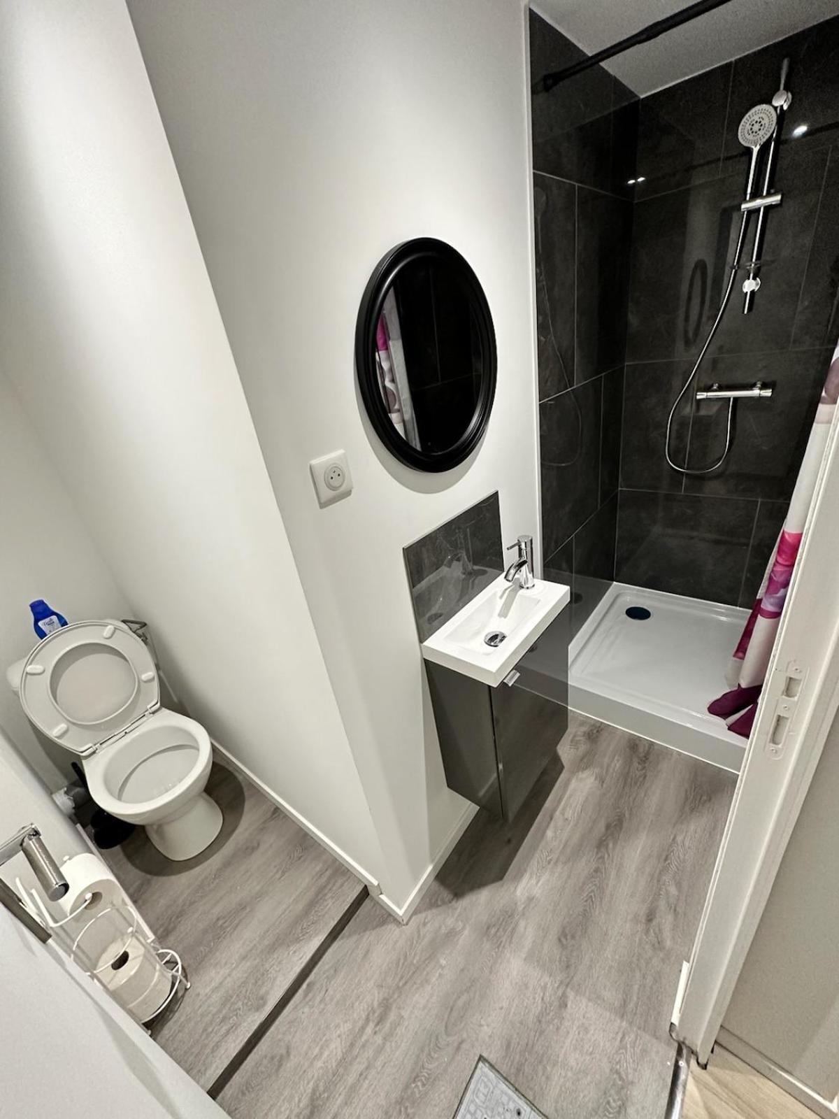 Апартаменти Cosy Citadin Мюлуз Екстер'єр фото